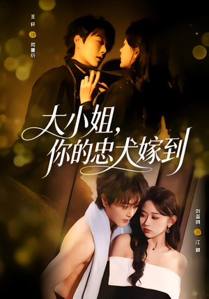 大小姐，你的忠犬嫁到（80集）番茄短剧看全集