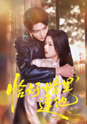 恰好暗里逢他(66集) 恰好暗里逢他(66集)免费观看全集