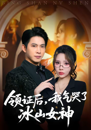 领证后，我气哭了冰山女神（60集）免费观看全集