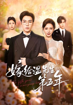 嫁给温先生第五年（60集）全集下载
