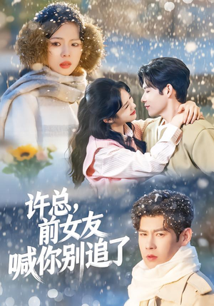 许总，前女友喊你别追了（80集）在线免费观看
