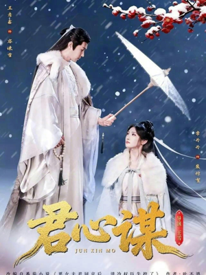 君心谋（80集）短剧热门合集