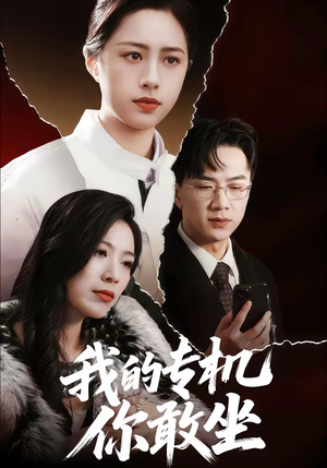 我的专机你敢坐（62集）精彩好看的短剧