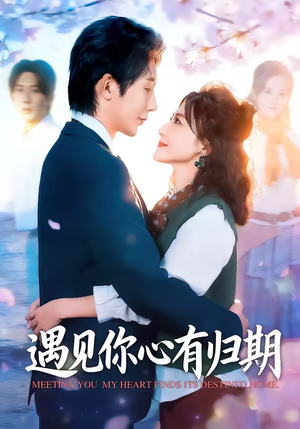 遇见你心有归期（81集）好看短剧推荐