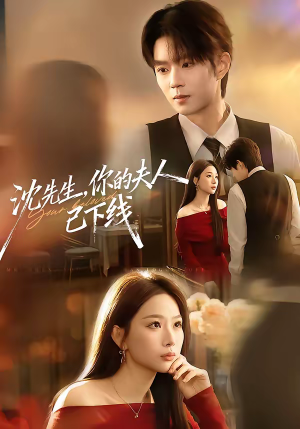 沈先生，你的夫人已下线（51集）百度在线观看