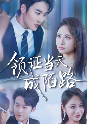 领证当天成陌路(39集) 领证当天成陌路(39集)精彩短剧抢先看