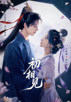 初相见（76集）免费热门短剧