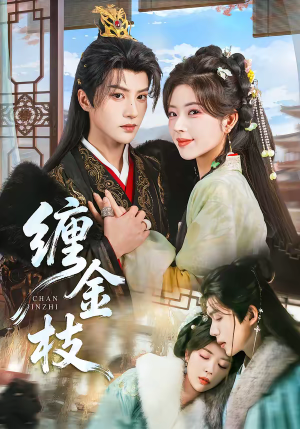 缠金枝（69集）短剧免费观看