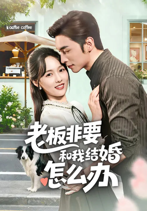 老板非要和我结婚怎么办（50集）演员表