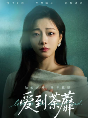 爱到荼蘼（63集）精彩短剧热播中