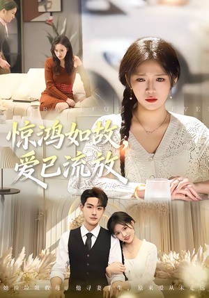 惊鸿如故，爱已流放（81集）免费短剧大全