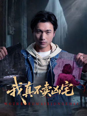 我真不卖凶宅（40集）完整版