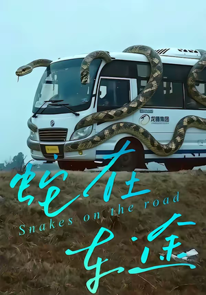 蛇在车途（34集）推荐热门短剧