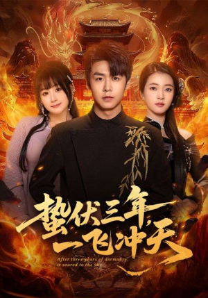 蛰伏三年，一飞冲天（60集）集免费看短剧