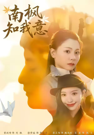 南枫知我意（41集）民国短剧推荐