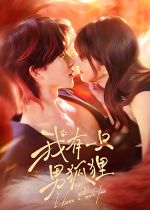 我有一只男狐狸（48集）第三季