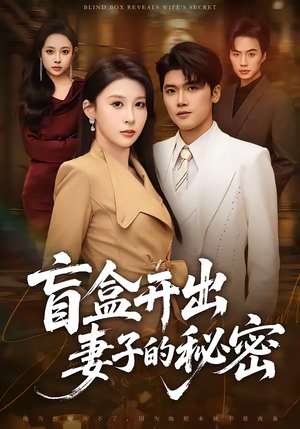 盲盒开出妻子的秘密（40集）在线看免费版