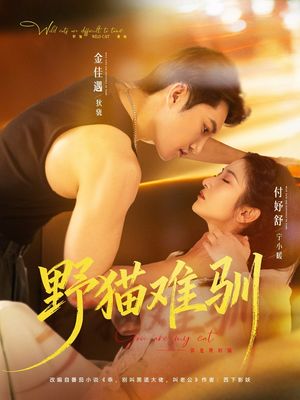 野猫难驯（73集）短剧
