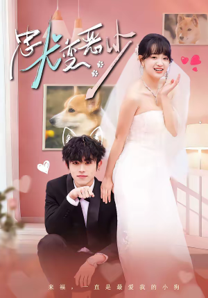 忠犬变恶少（80集）免费短剧看不停