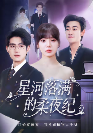 星河落满的柔夜纪(88集) 星河落满的柔夜纪(88集)全集一次看完