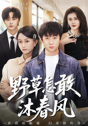 野草怎敢沐春风（61集）精彩连连免费看