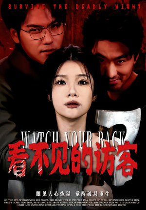 看不见的访客（62集）免费在线看