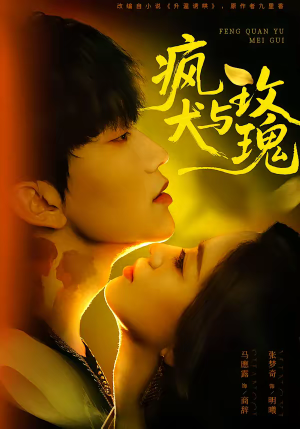 疯犬与玫瑰（80集）看到了大结局