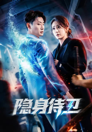 隐身侍卫（80集）男主角是谁