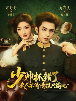 少帅抓错了，夫人不偷情报只偷心（66集）免费在线看全集