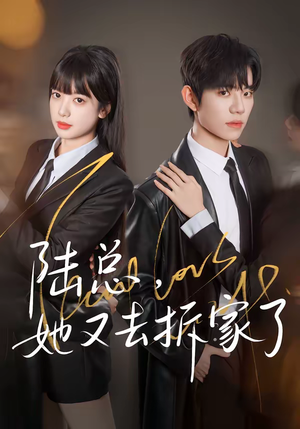 陆总，她又去拆家了（80集）短剧全集免费