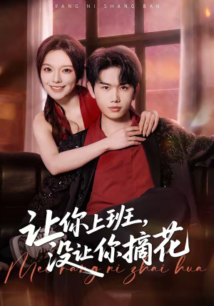 让你上班，没让你摘花（70集）精彩不断免费看