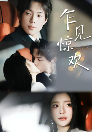 乍见惊欢（60集）红果短剧看全集