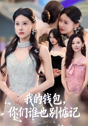 我的钱包，你们谁也别惦记（56集）百度网盘资源