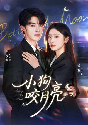小狗咬月亮（66集）精彩热门短剧