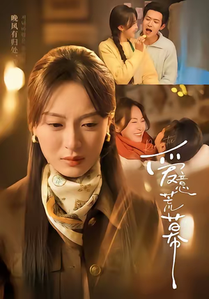 爱意荒幕（70集）全集完整版