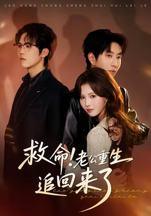 救命!老公重生追回来了(40集) 救命!老公重生追回来了(40集)好看上头短剧