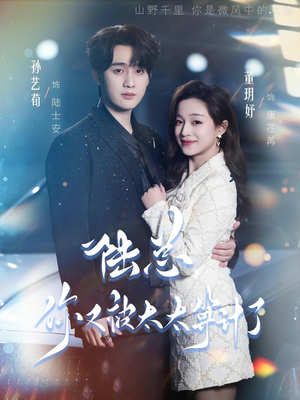 陆总，你又被太太算计了（70集）短剧演员排行榜