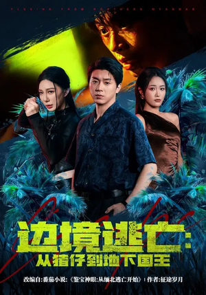 边境逃亡：从猪仔到地下国王（81集）观看软件