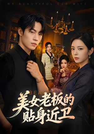 美女老板的贴身近卫（60集）网盘在线观看