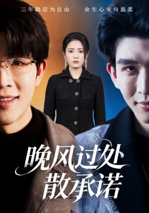 晚风过处散承诺（65集）热播短剧分享