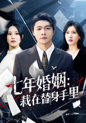 七年婚姻：栽在替身手里（80集）全剧免费观看