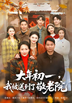 大年初一，我被送到了敬老院（60集）夸克网盘在线看