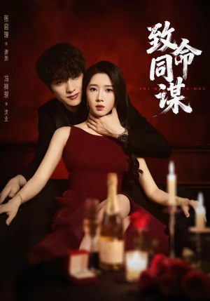 致命同谋（63集）免费在线看