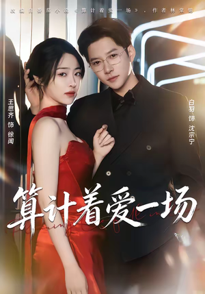 算计着爱一场（81集）短剧中追到爽