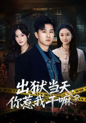 出狱当天，你惹我干嘛？（62集）短剧排行榜