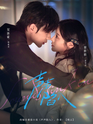 声声陷入（73集）全网独播免费看