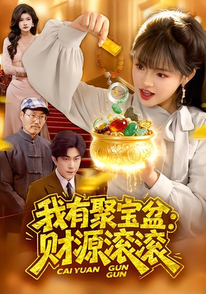 我有聚宝盆：财源滚滚（101集）直接看到大结局