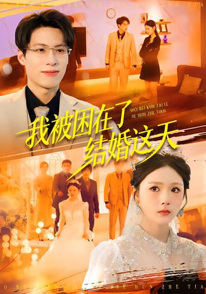 我被困在了结婚这天（40集）在线观看全集