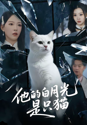 他的白月光是只猫（69集）小短剧抢先看