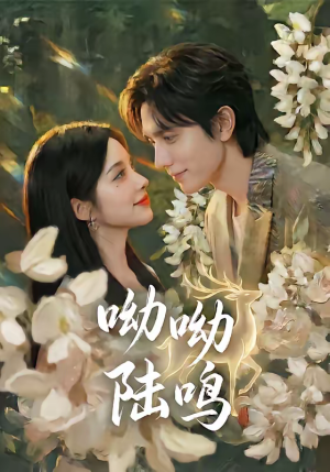 呦呦陆鸣（67集）短剧推荐来了